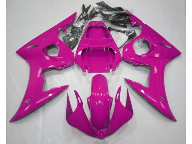 2003-2004 Rose Brillant R6 Carénage Moto