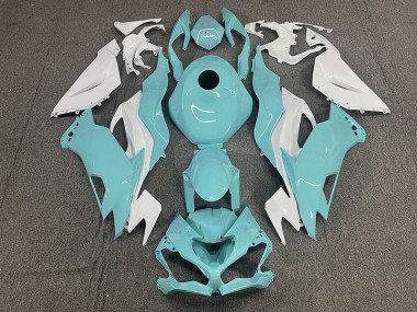 2019-2023 Aqua ZX6R Carénage Moto